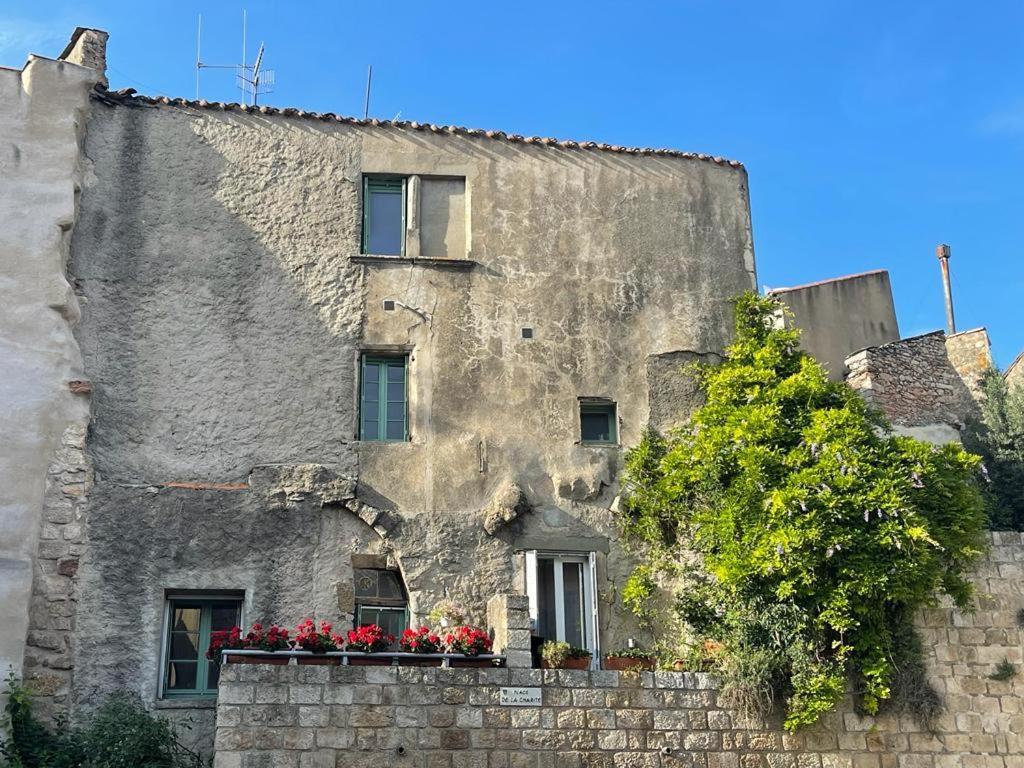 Au Perchoir Daire Caunes-Minervois Dış mekan fotoğraf
