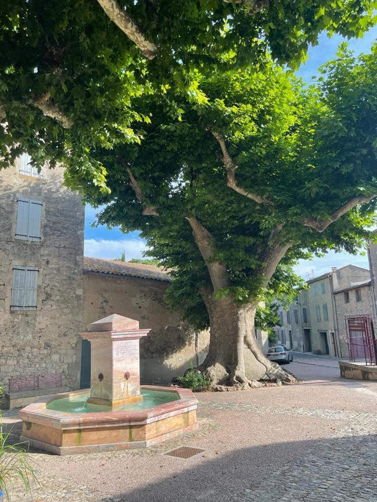 Au Perchoir Daire Caunes-Minervois Dış mekan fotoğraf